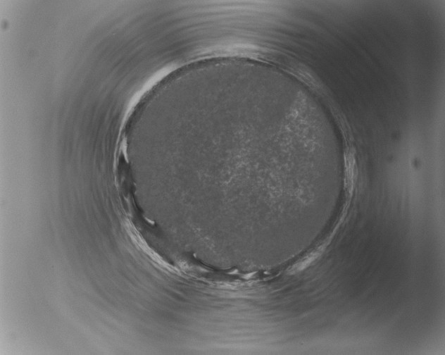 X0000051860780200507081821