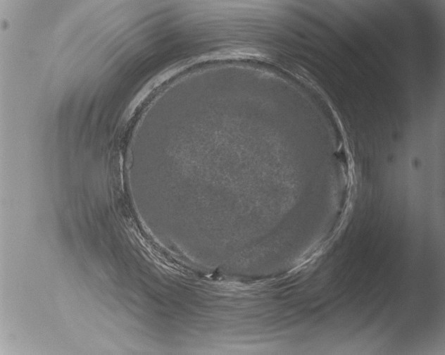 X0000051860781200507081821