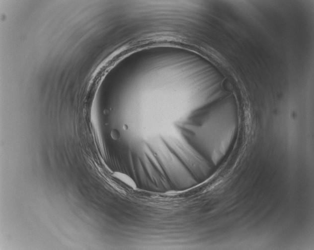 X0000051860782200507081821