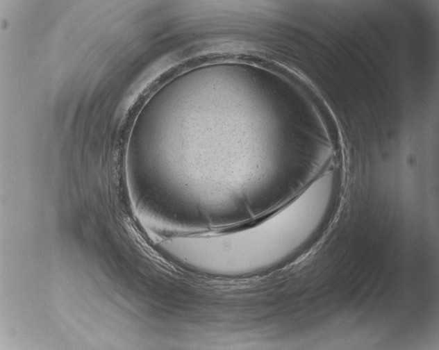 X0000051860783200507081821