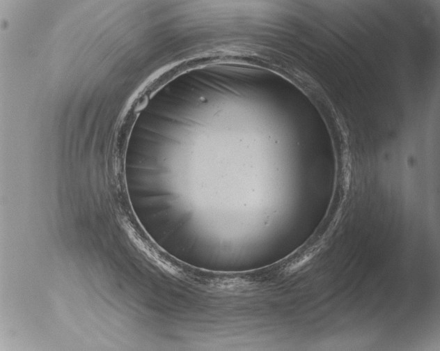 X0000051860784200507081821