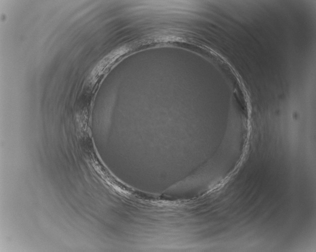 X0000051860785200507081821