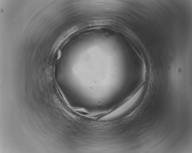 X0000051860786200507081821