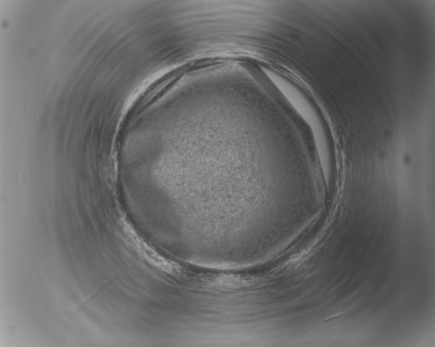 X0000051860787200507081821