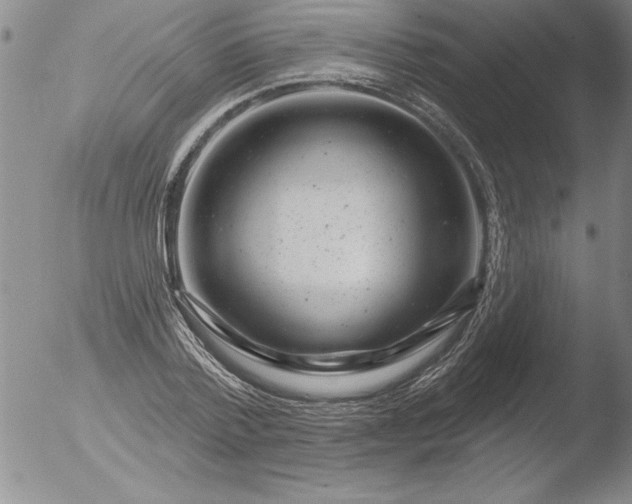 X0000051860788200507081821