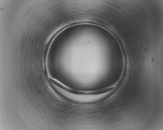 X0000051860789200507081821