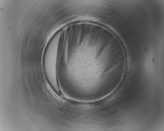 X0000051860791200507081821