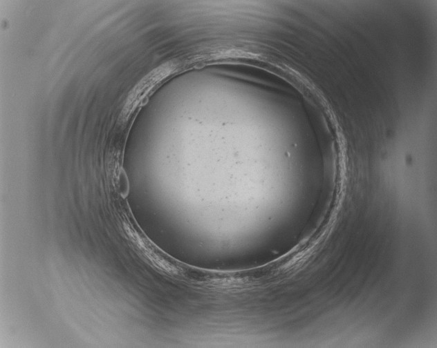 X0000051860793200507081821