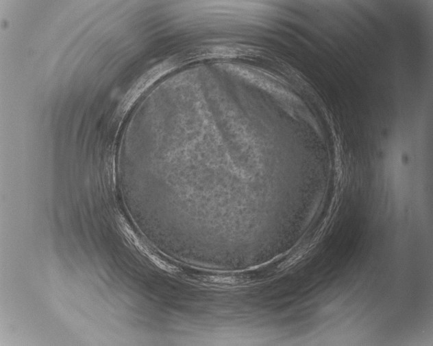 X0000051860794200507081821