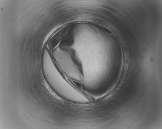 X0000051860796200507081821