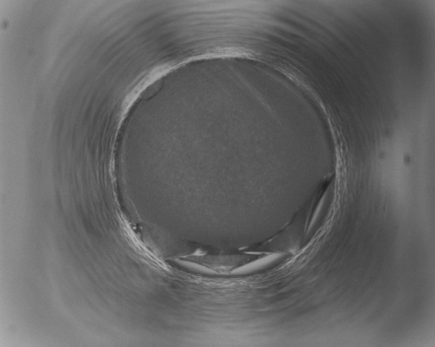 X0000051860797200507081821