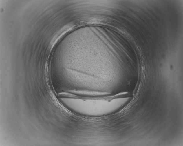 X0000051860798200507081821