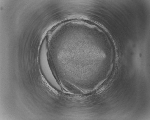 X0000051860799200507081821