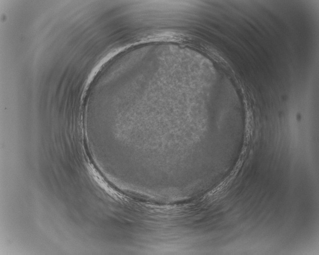 X0000051860800200507081821