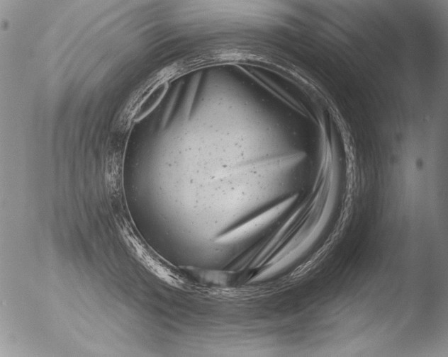 X0000051860801200507081821