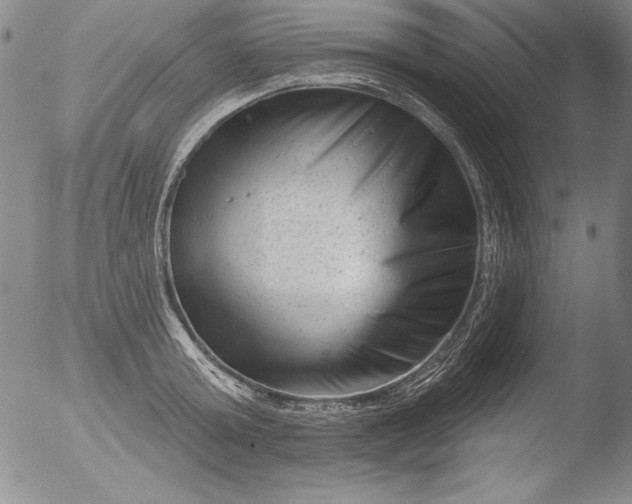 X0000051860803200507081821