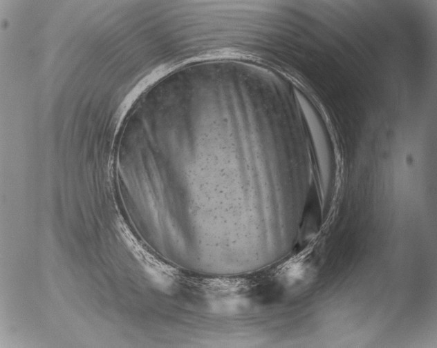 X0000051860805200507081821