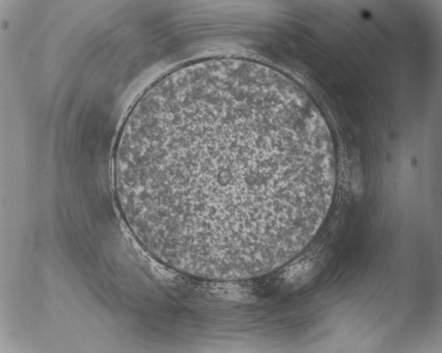 X0000051860807200507081821