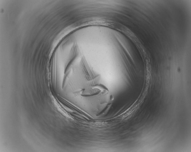 X0000051860808200507081821