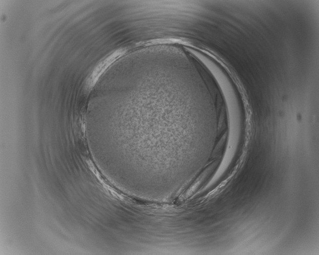 X0000051860809200507081821