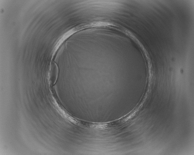 X0000051860810200507081821