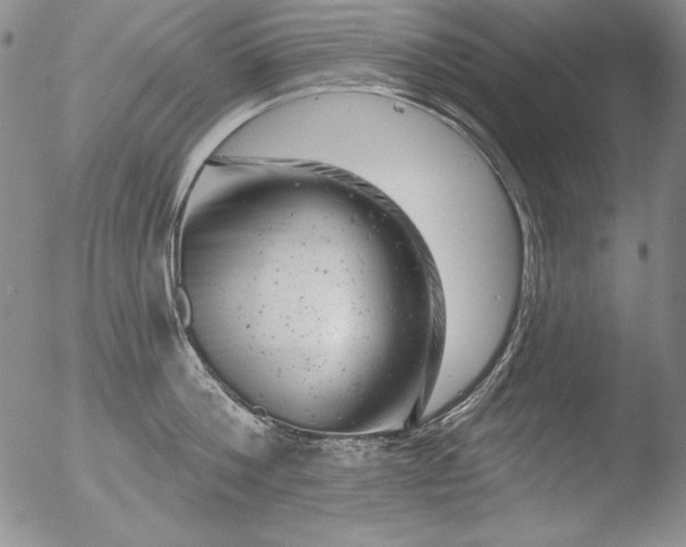 X0000051860812200507081821