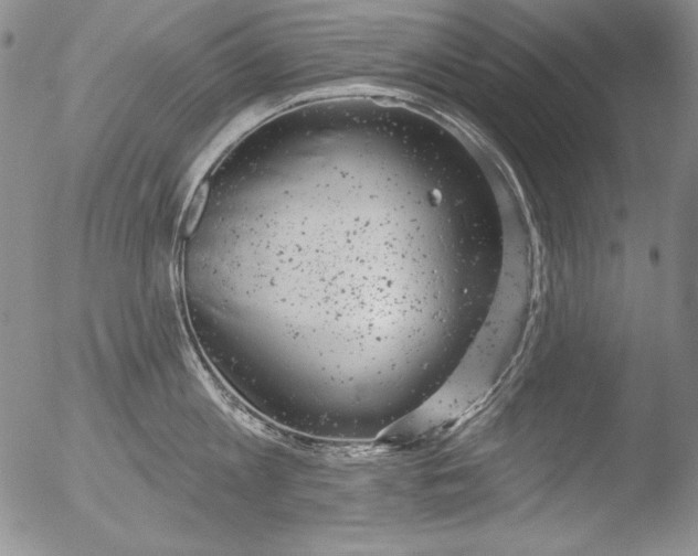 X0000051860813200507081821