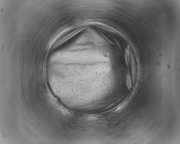 X0000051860814200507081821