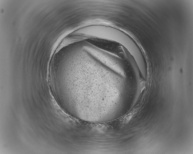 X0000051860815200507081821