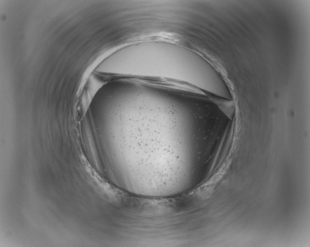 X0000051860816200507081821