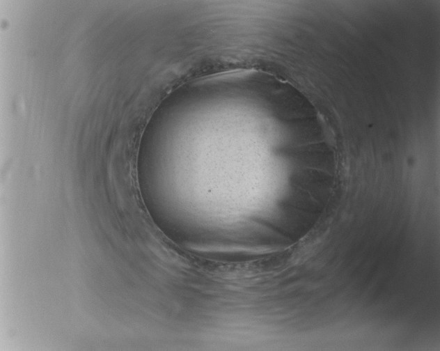 X0000051860817200507081820