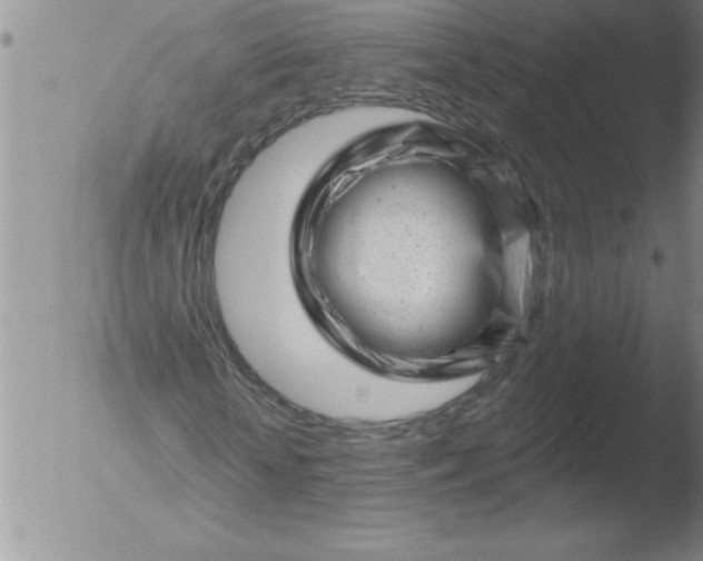 X0000051860818200507081820