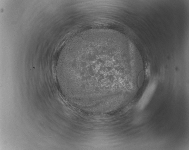 X0000051860819200507081820