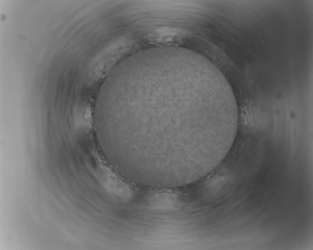 X0000051860820200507081820