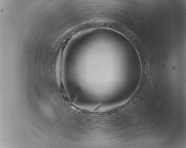 X0000051860821200507081820