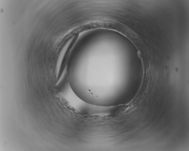 X0000051860822200507081820