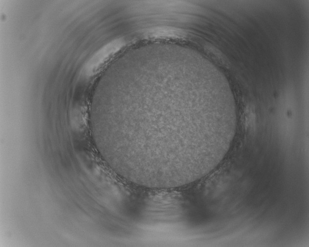 X0000051860824200507081820