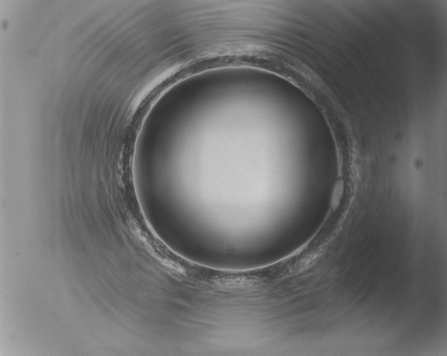 X0000051860826200507081820