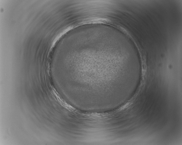 X0000051860827200507081820