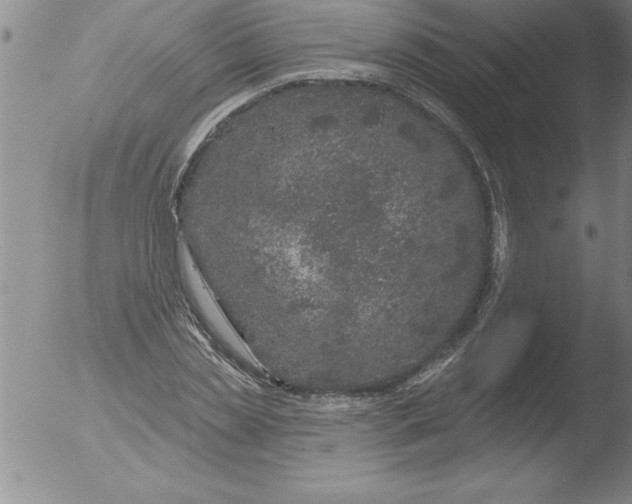 X0000051860829200507081820