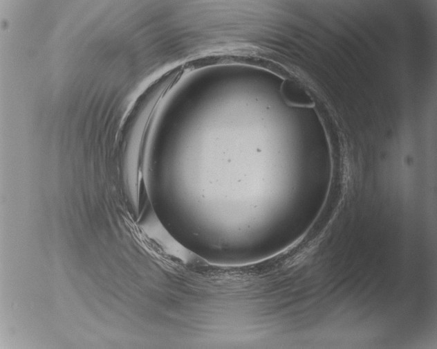 X0000051860830200507081820