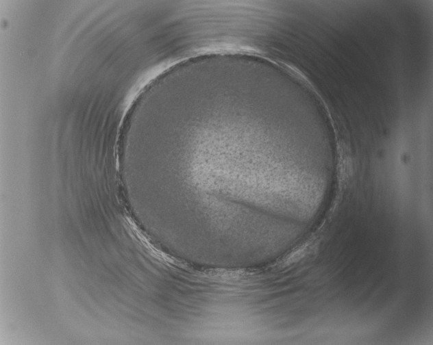 X0000051860831200507081820