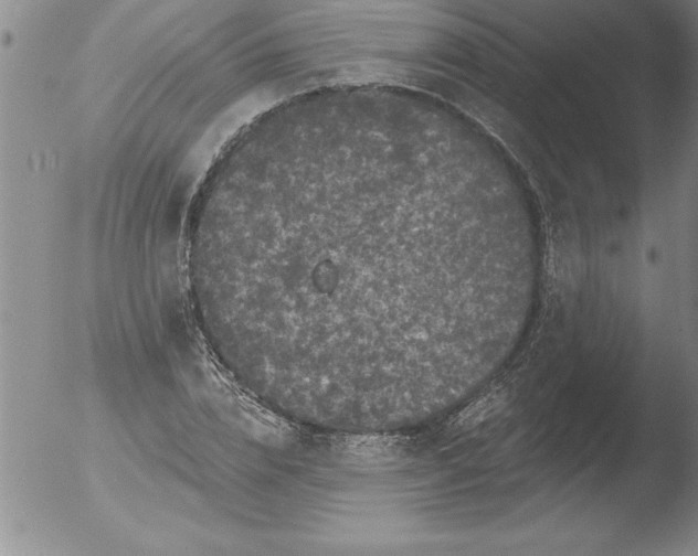 X0000051860832200507081820