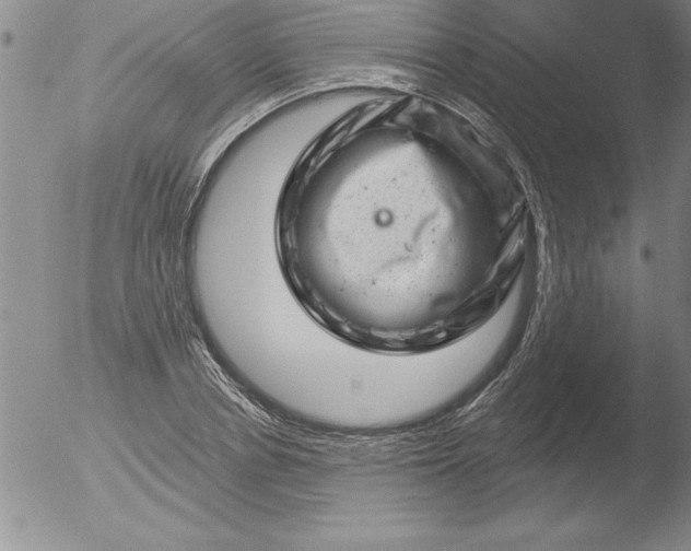 X0000051860834200507081820