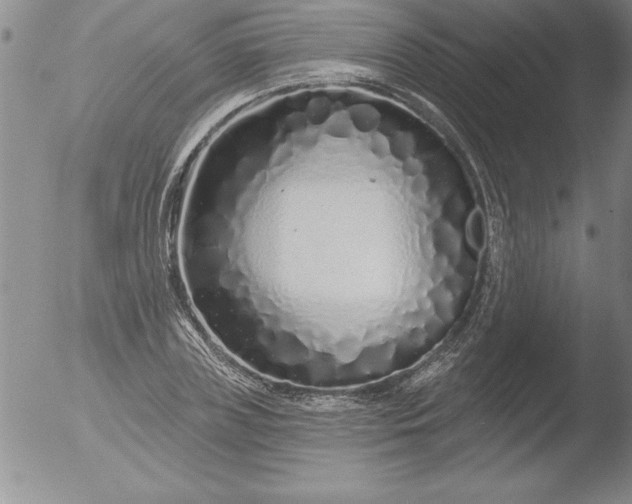 X0000051860835200507081820