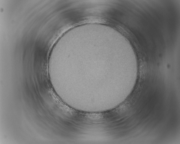 X0000051860836200507081820