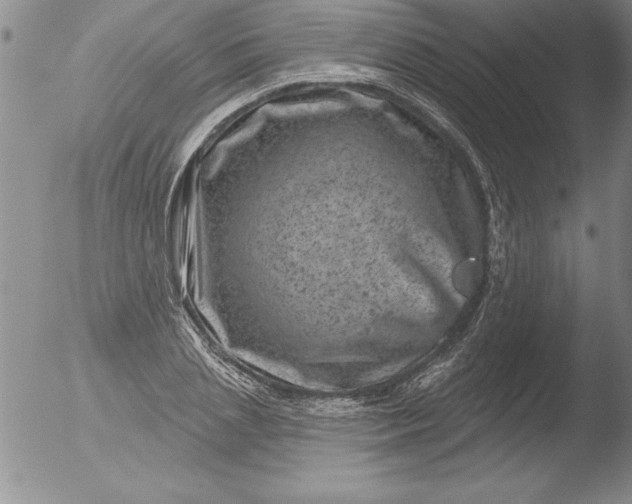 X0000051860837200507081820