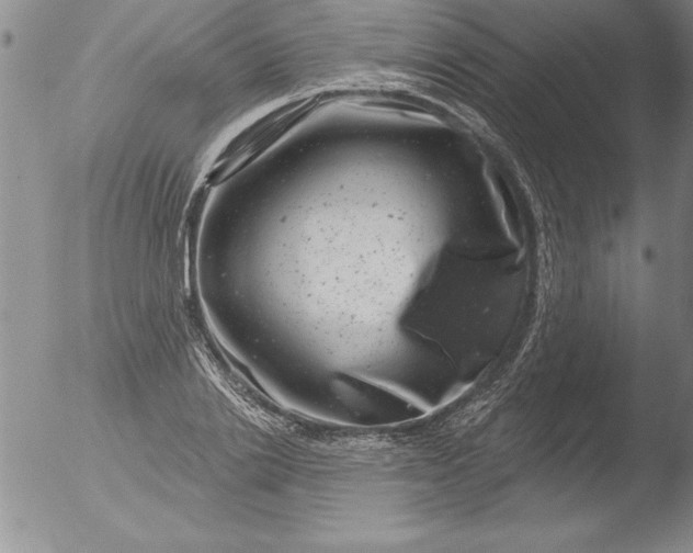 X0000051860838200507081820