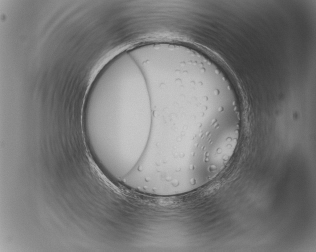 X0000051860839200507081820