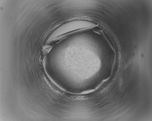 X0000051860841200507081820